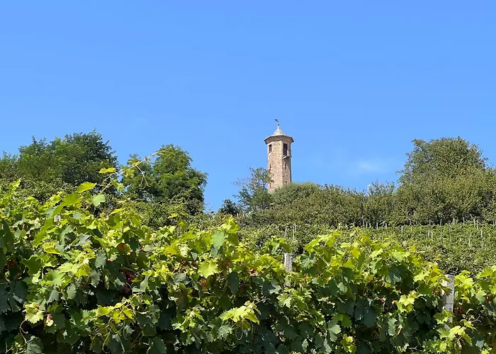 Casa Della Torre - With Panoramic View *