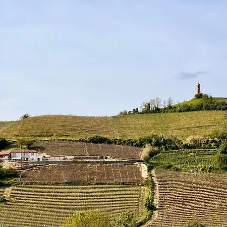 Casa Della Torre - With Panoramic View Canelli